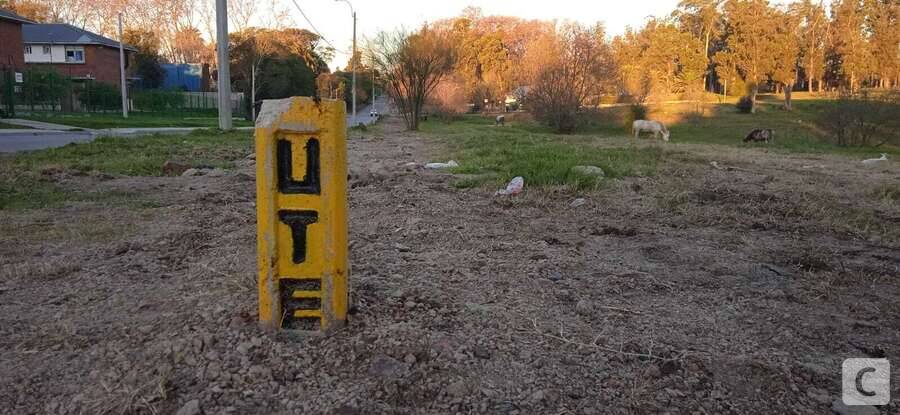 UTE cable subterraneo zona colon 00011