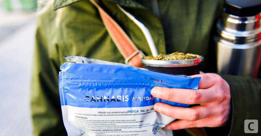 uruguayo con mate y bolsa de cannabis