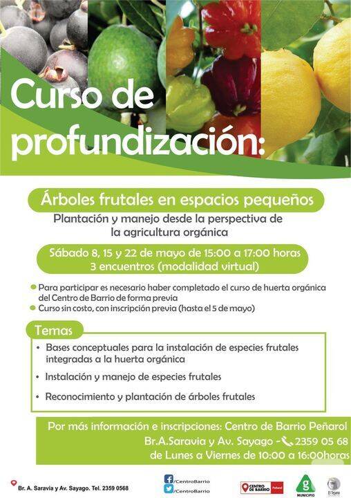 afiche curso de profundizacion cbp