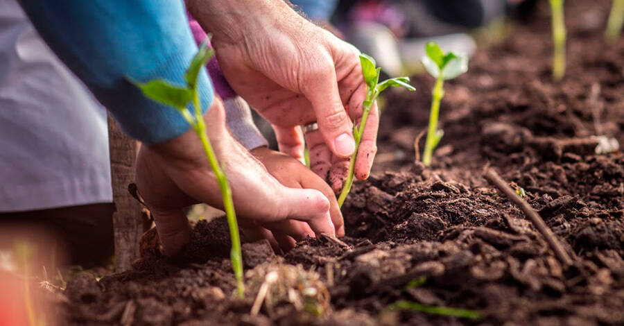 concurso de huertas comunitarias 2021