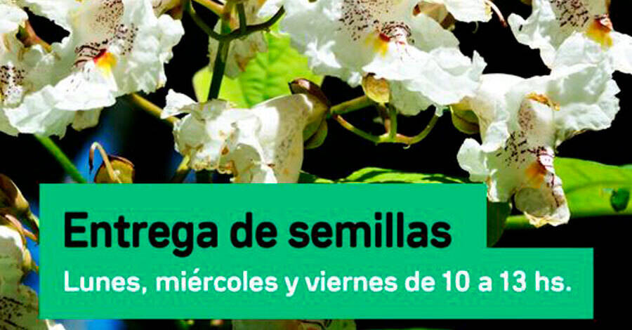 entrega de semillas en el botanico