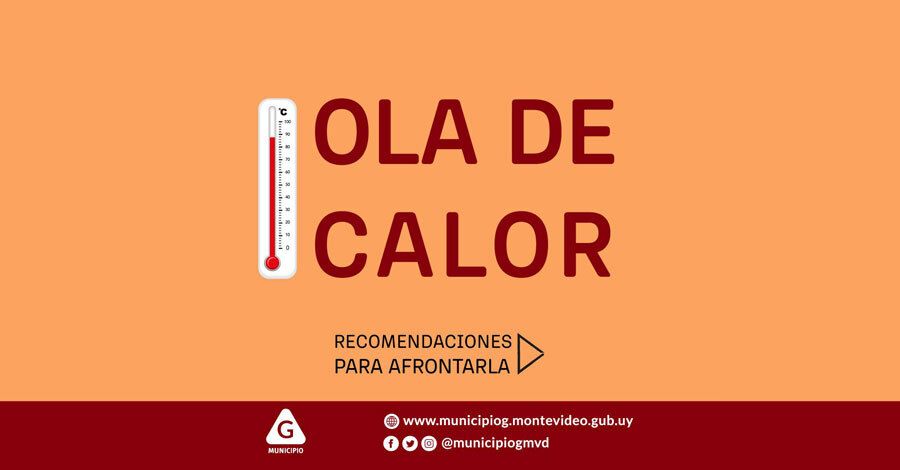 Ola de calor recomendaciones