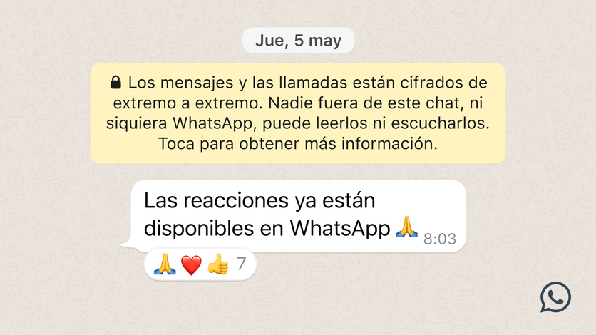 Whatsapp reacciones archivos de 2 GB y grupos de 512 personas