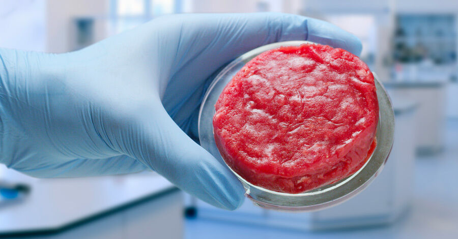 Mano de cientifico con guantes mostrando carne artificial roja en un recipiente cilindrico plano transparente sin tapa