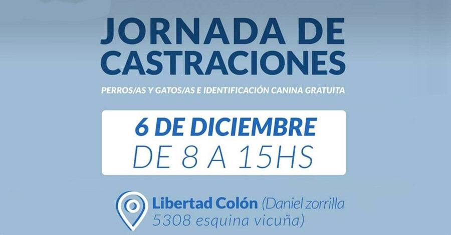 Castraciones gratuitas en Libertad Colón