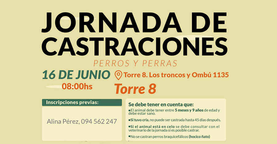 Jornada de Castraciones de perros y perras
