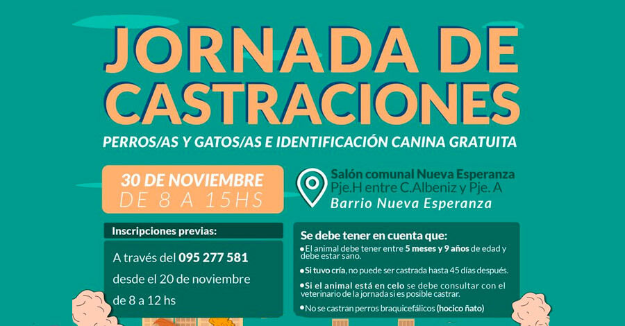 Jornada de Castraciones de perro y gatos en el Barrio Nueva Esperanza