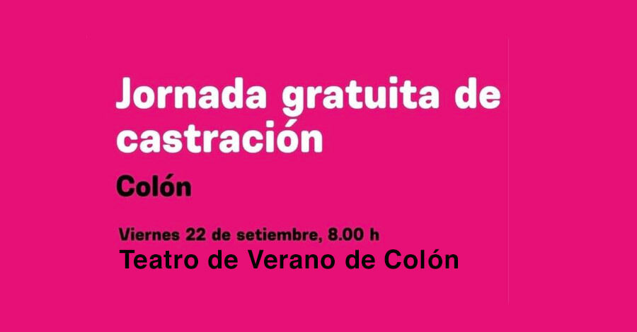 Jornada de Castraciones de perros y gatos en el Teatro de Verano de Colón