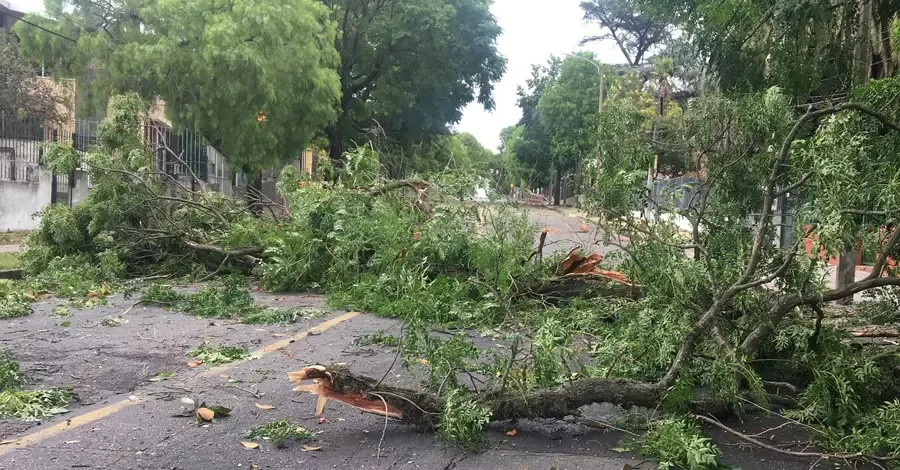 turbonada sayago penarol 02