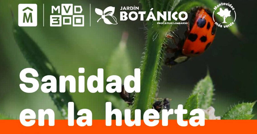 Charla virtual "Promoviendo la sanidad en la huerta”