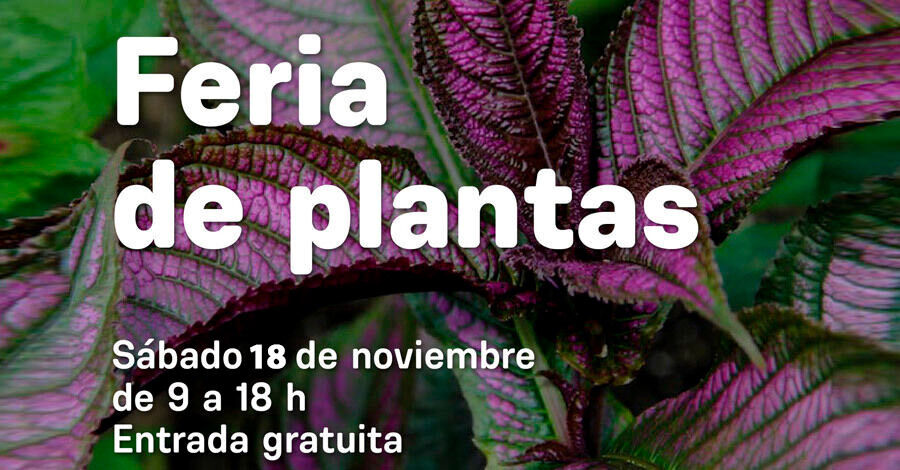 Feria de plantas en el Jardín Botánico de Montevideo