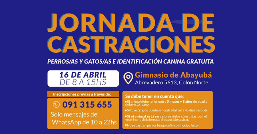 Nueva jornada de castraciones en el Gimnasio de Abayubá