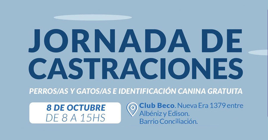 Jornada de castraciones en el barrio Conciliación
