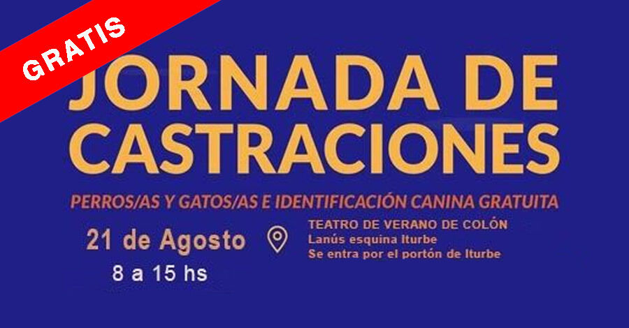Jornada de castraciones en el Teatro de Verano de Colón