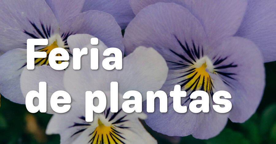 Feria de plantas en el Jardín Botánico de Montevideo
