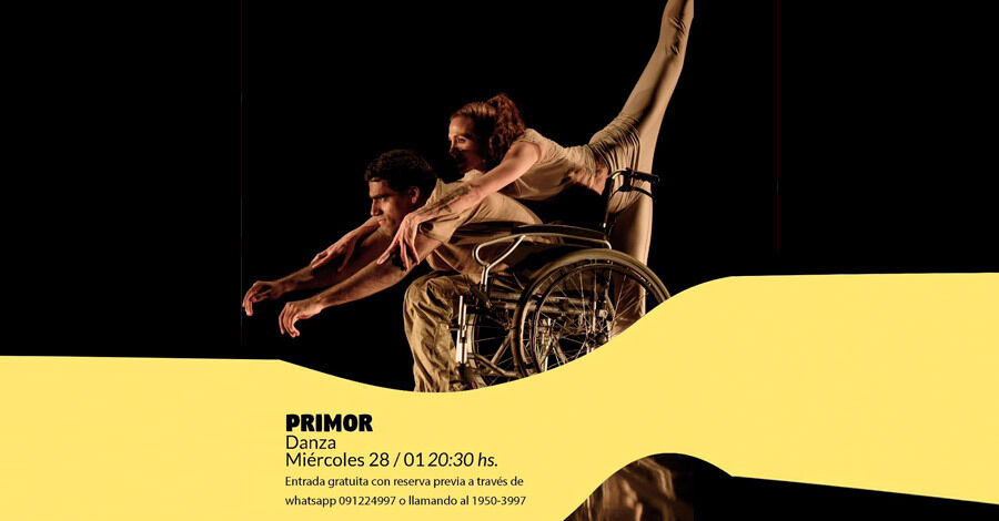 Primor en el Centro Cultural Artesano