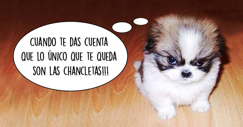 Humor de viernes Algo es algo