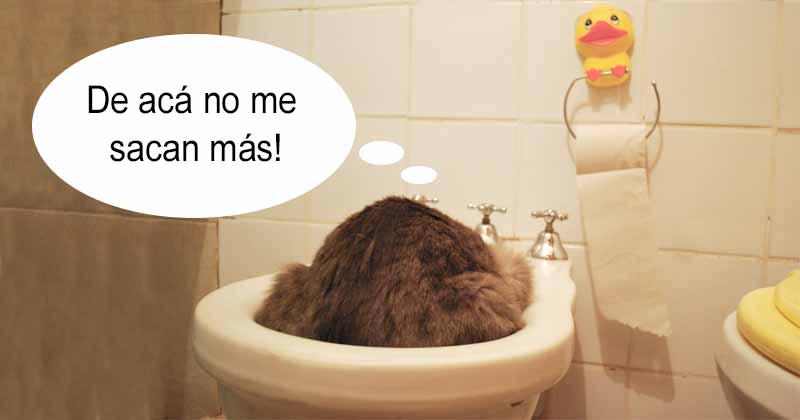 Humor de viernes De tormentas y otras yerbas