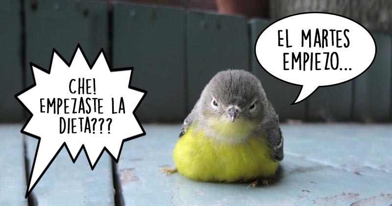 Humor de viernes El Martes