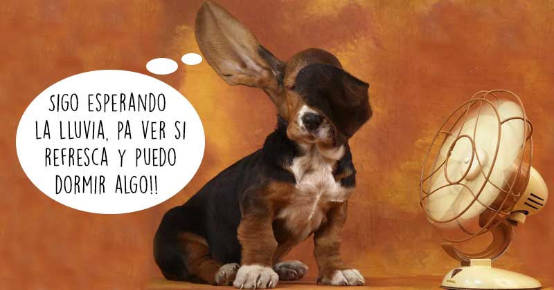 Humor de viernes Impagable