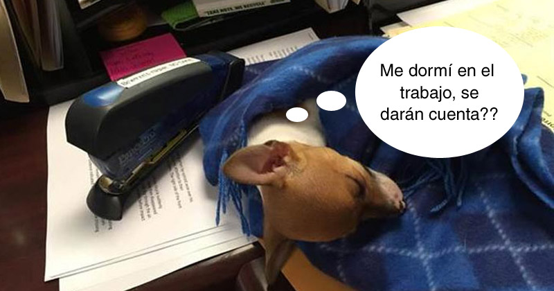 Humor de viernes Matematicas oniricas