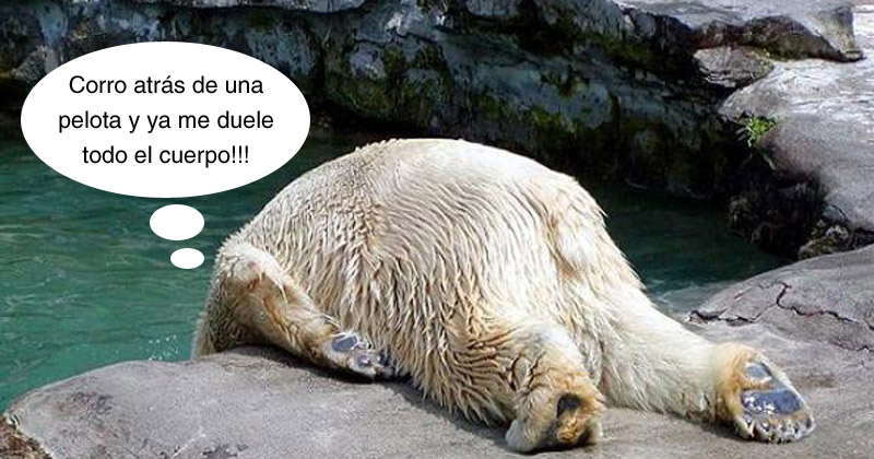 Humor de viernes Que dolor1