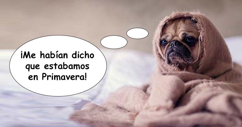 Humor de viernes Que tamos en Primavera le toy diciendo