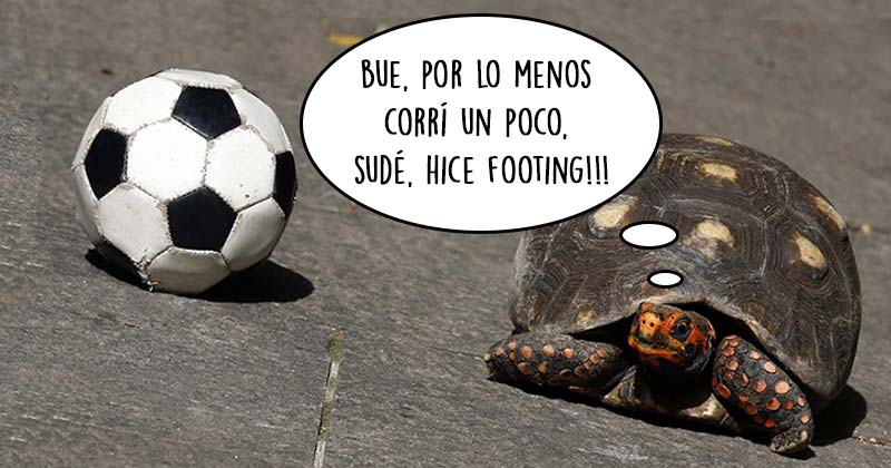 Humor de viernes Siga insistiendo