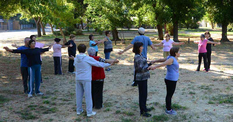 GIMNASIA PARA PERSONAS MAYORES GRATIS
