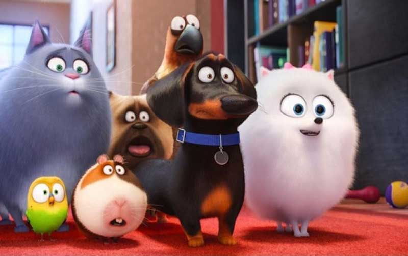 La vida secreta de tus mascotas Una comedia para toda la familia 05