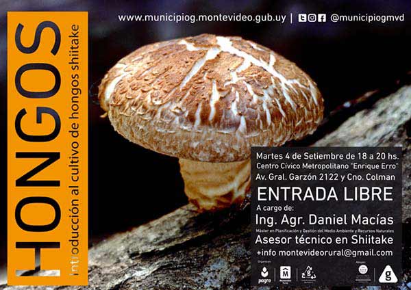 afiche curso de hongo