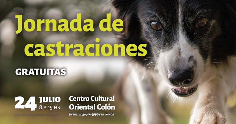 castraciones julio 2019