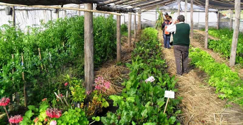 imagen de granja agroecologica en melilla