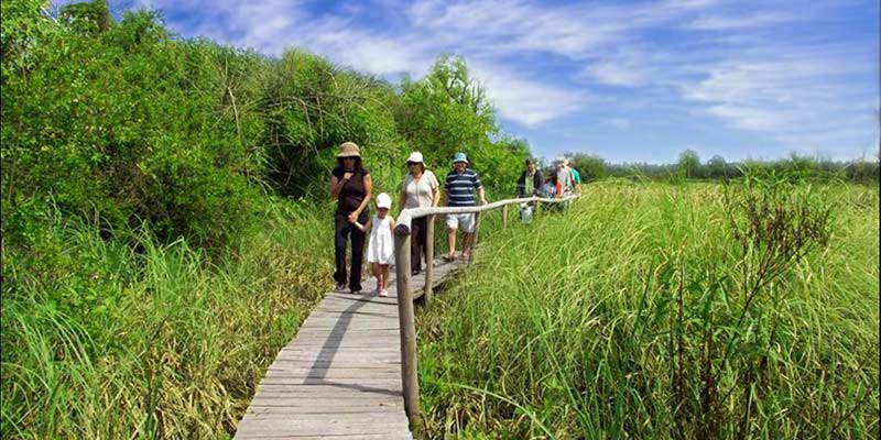 paseo gratuito humedales colon melilla municipiog
