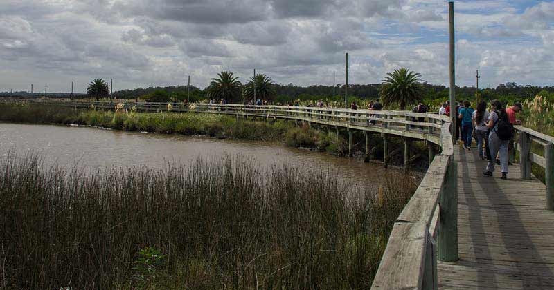 paseo humedales de santa lucia 2019