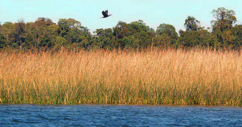 paseos y charlas sobre humedales de santa lucia