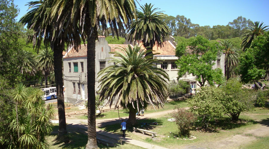 hospital gustavo saint bois