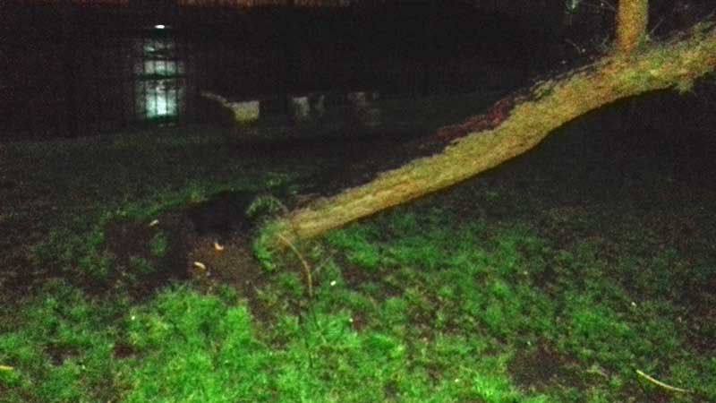 tormenta 13 setiembre04