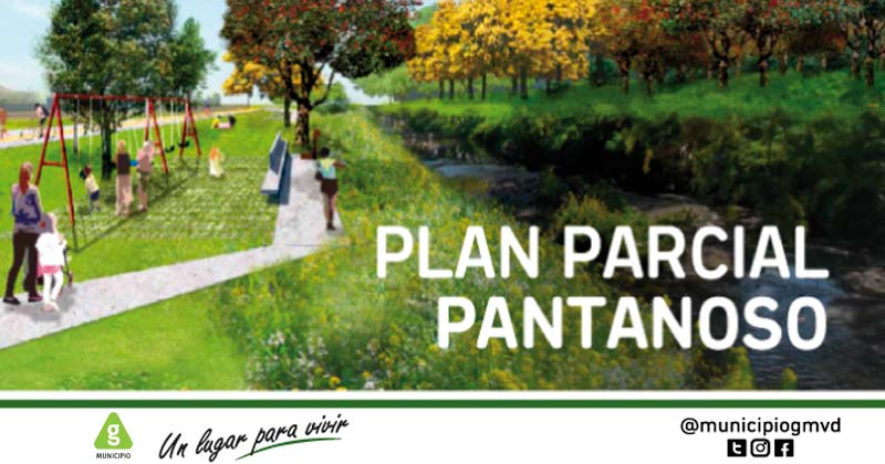 plan de manifiesto 2018