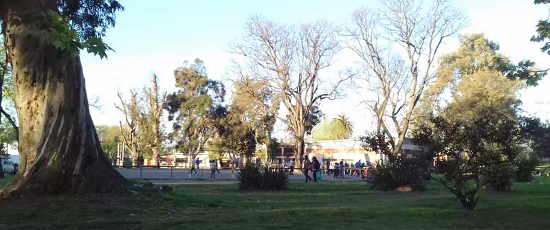 primavera 2016 en colon 02