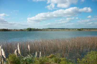 humedales del rio santa lucia