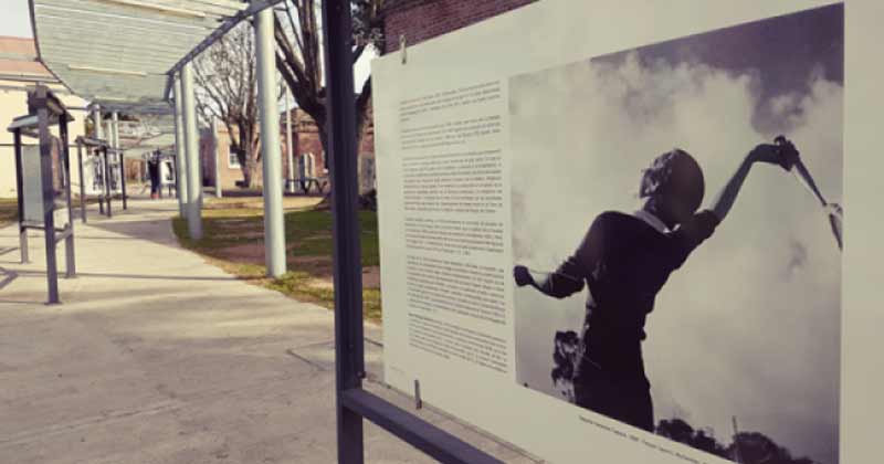 fotogaleria en el cbp