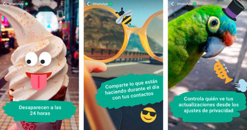 estados de whatsapp informacion