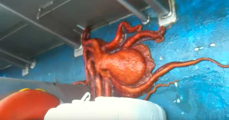 pulpo houdini giant octopus
