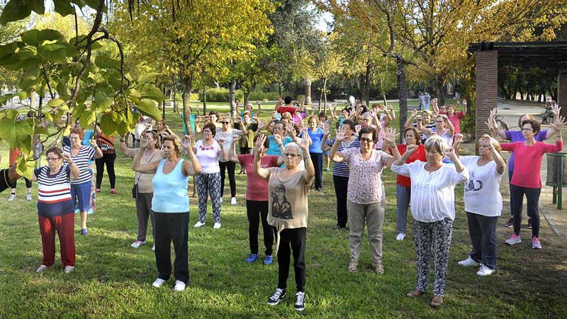 gimnasia para adultos mayores