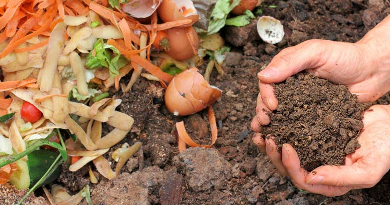 Transforma tus residuos organicos en compost