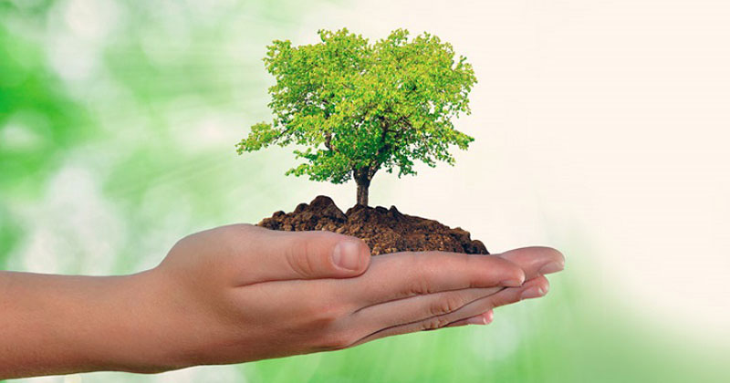 dia mundial del medio ambiente 2019