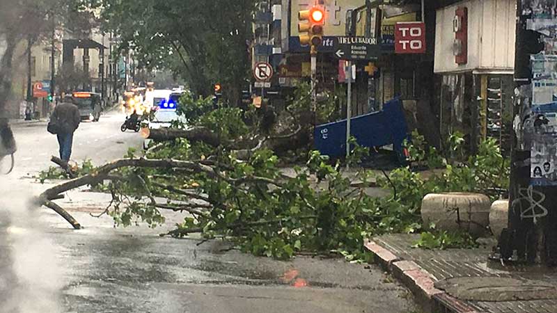 Elsa Levrero 18 de julio y Eduardo Acevedo
