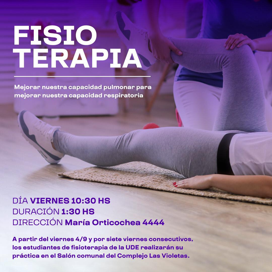 afiche fisioterapia