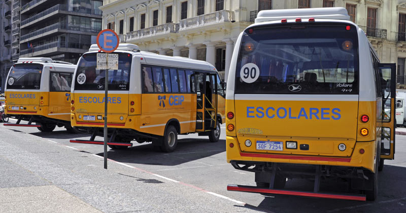 camionetas escolares protocolo